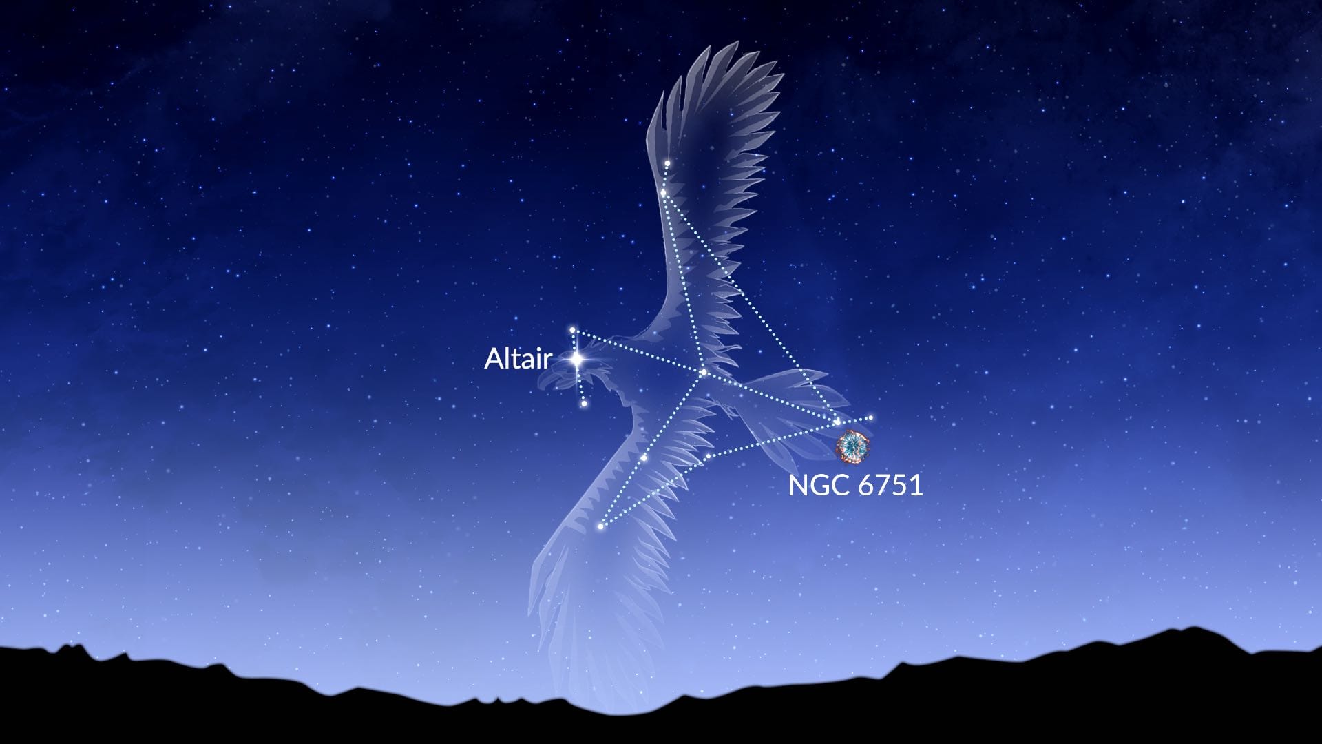 Aquila