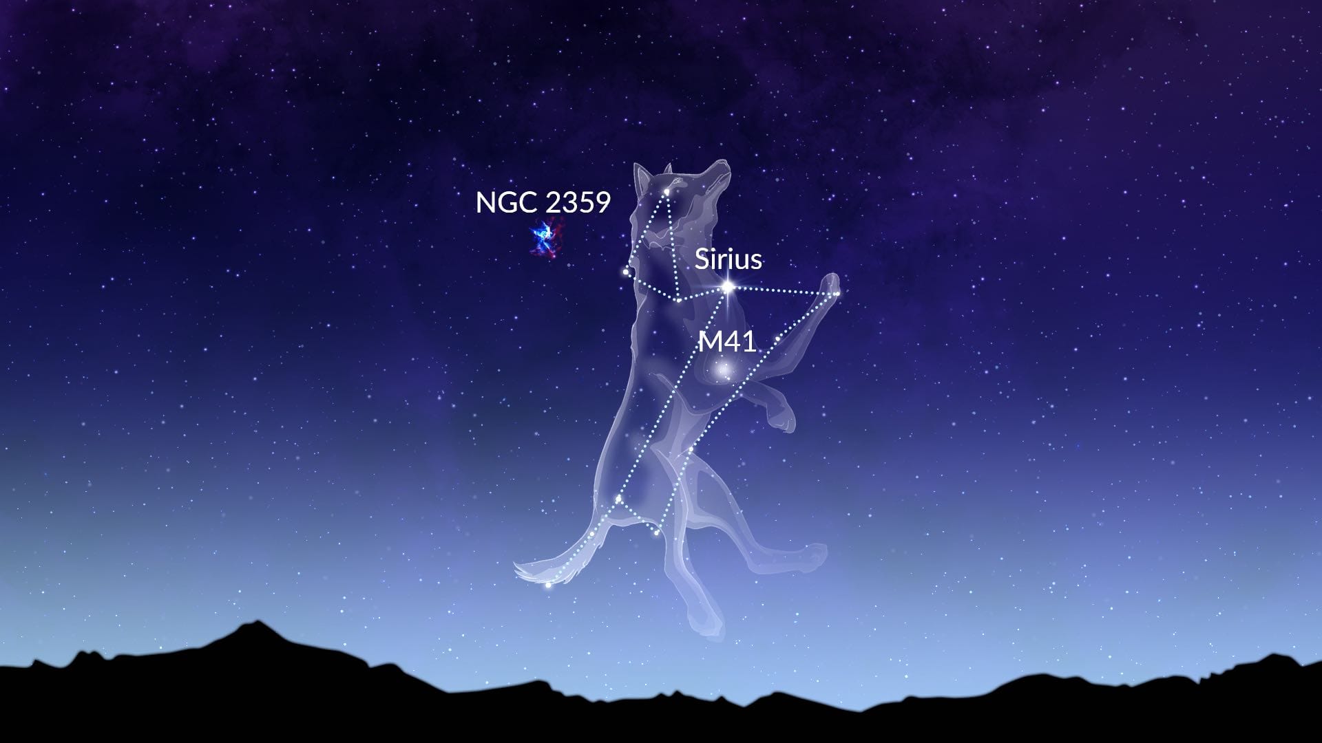 Canis Major