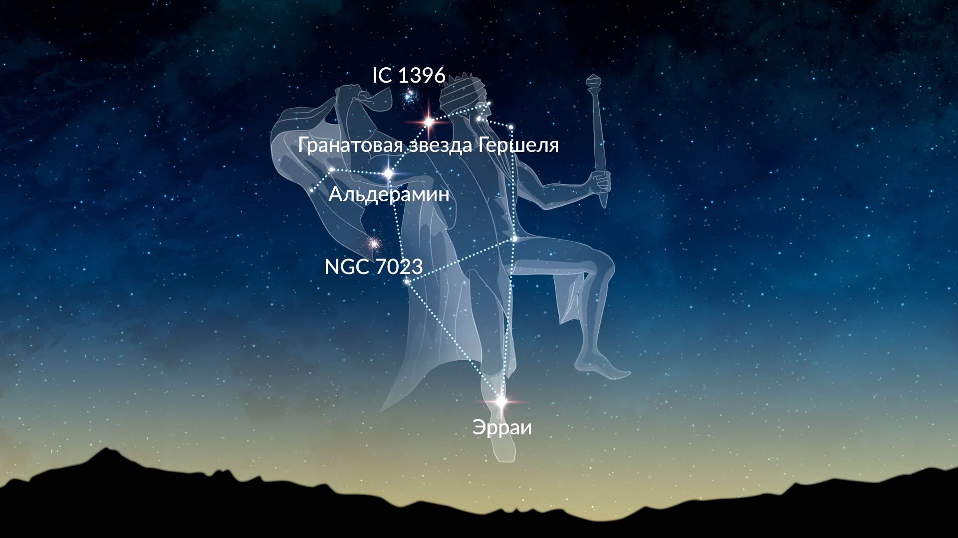 Cepheus