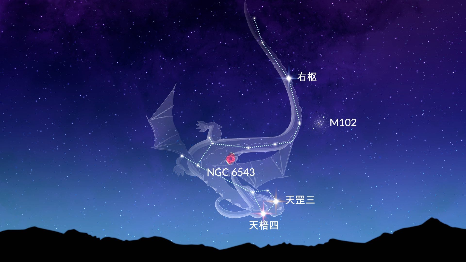 Draco
