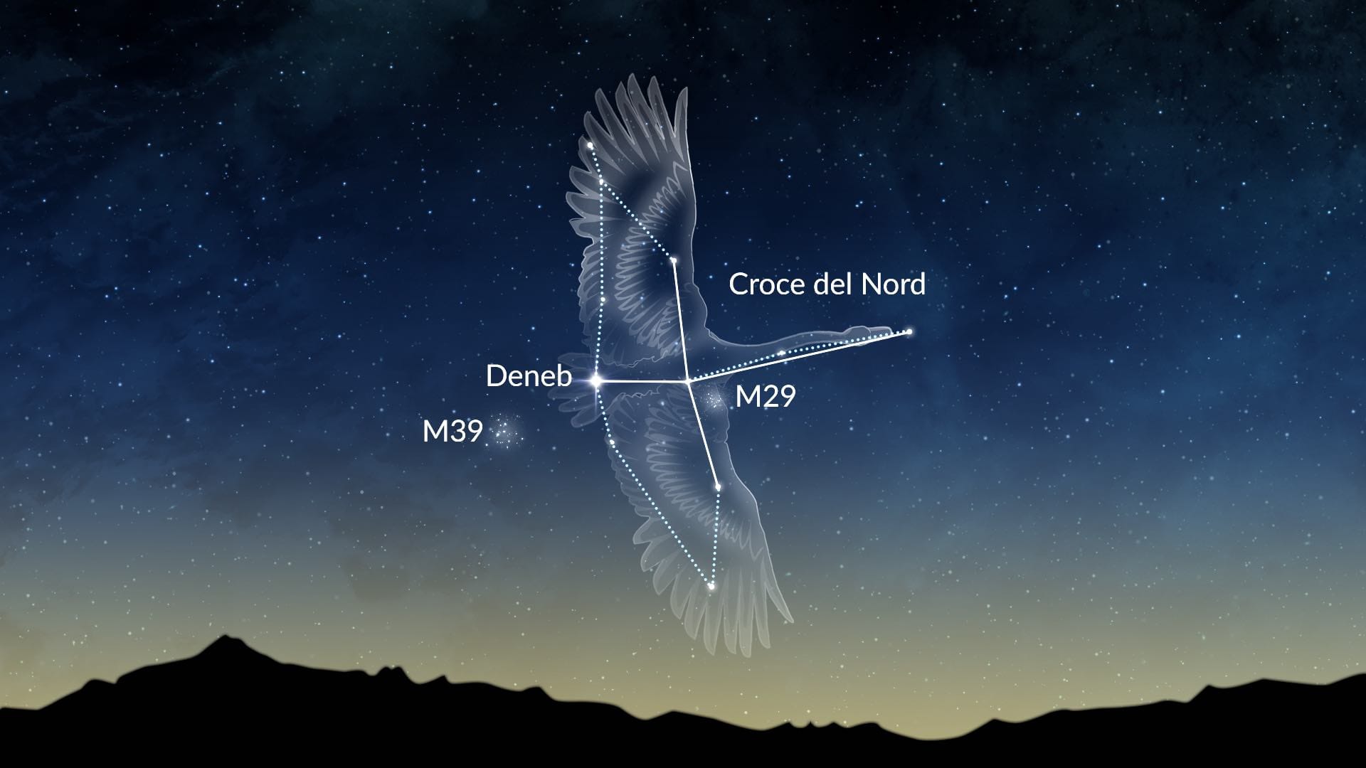Cygnus