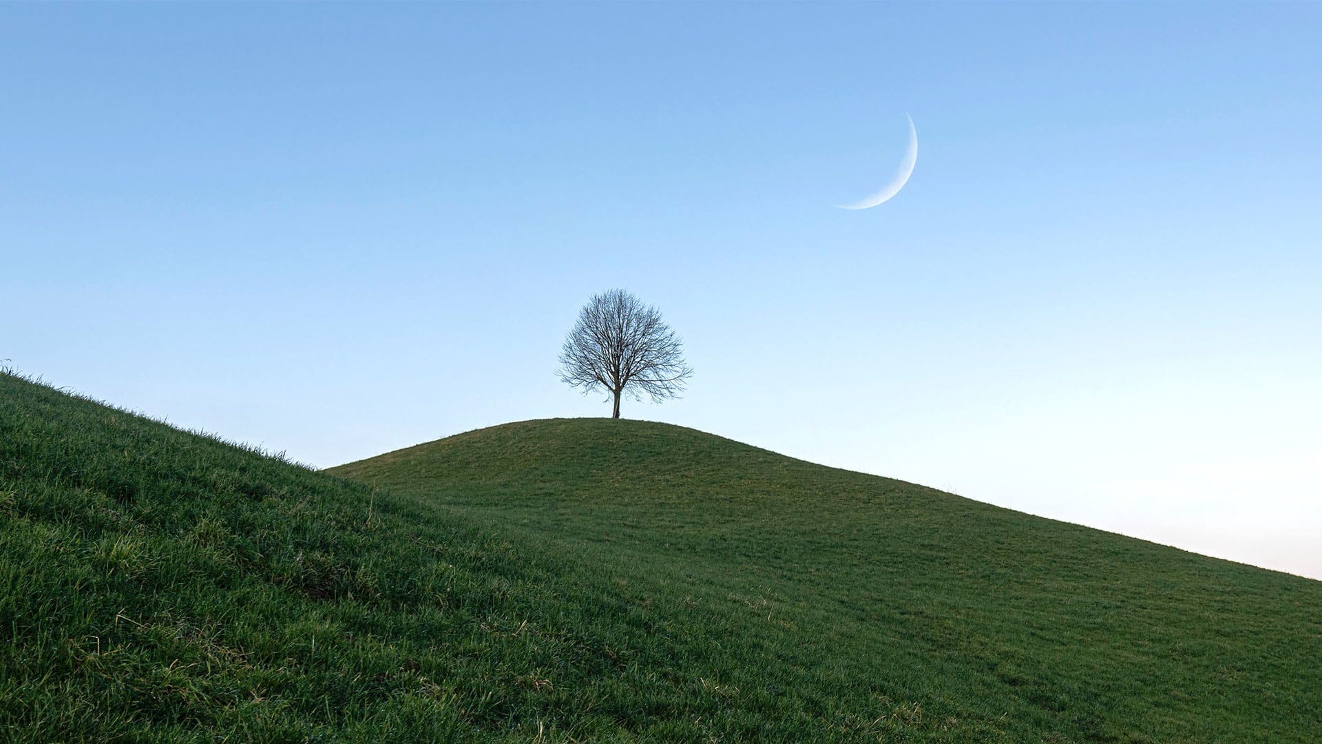 Daytime Astronomy