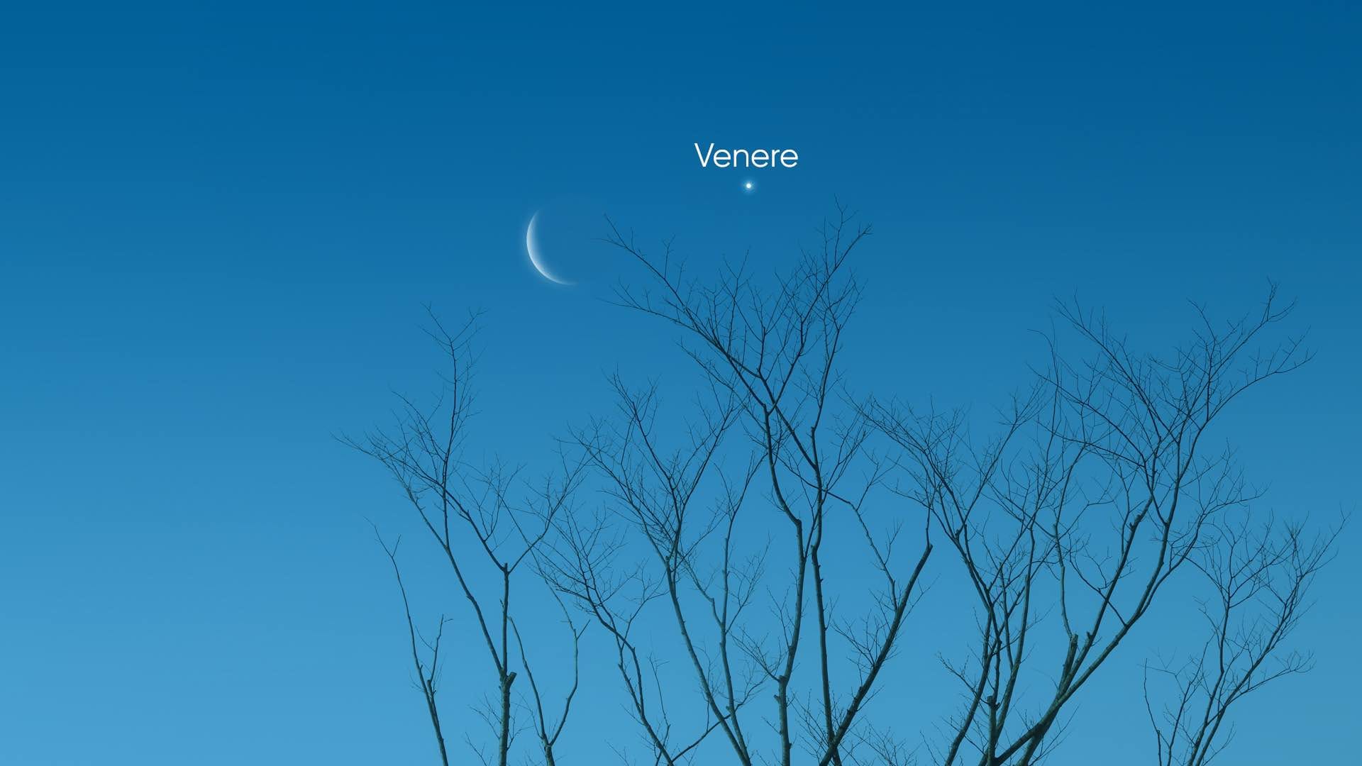 Daytime Venus