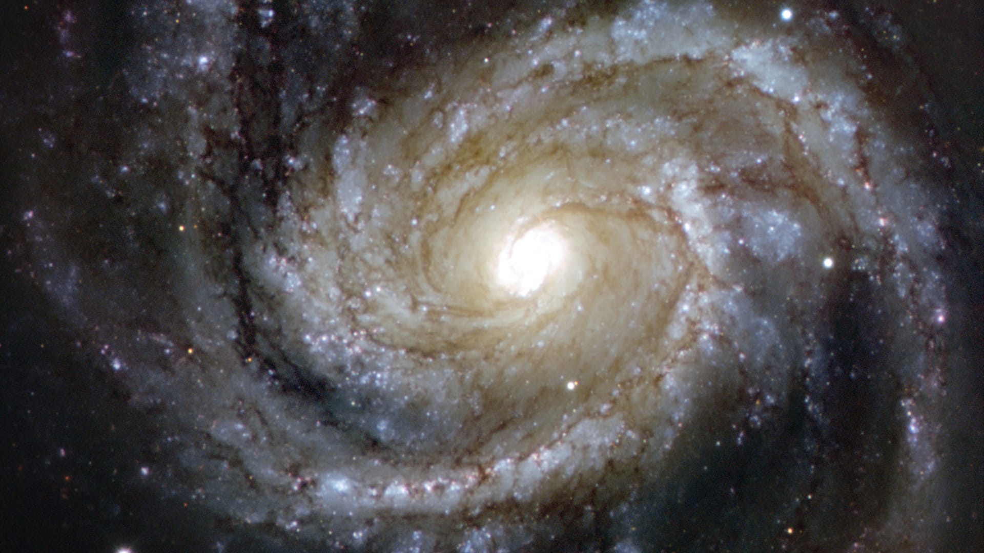 Mirror Galaxy