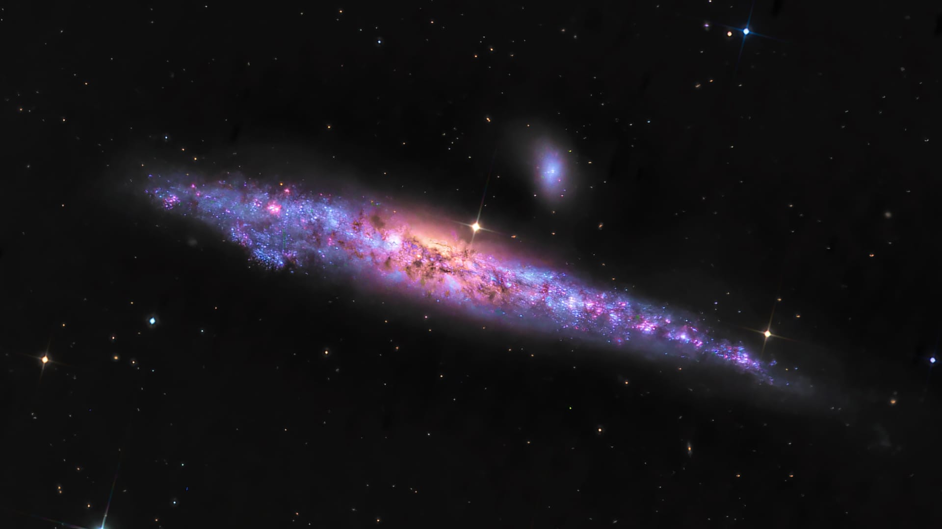 Whale Galaxy