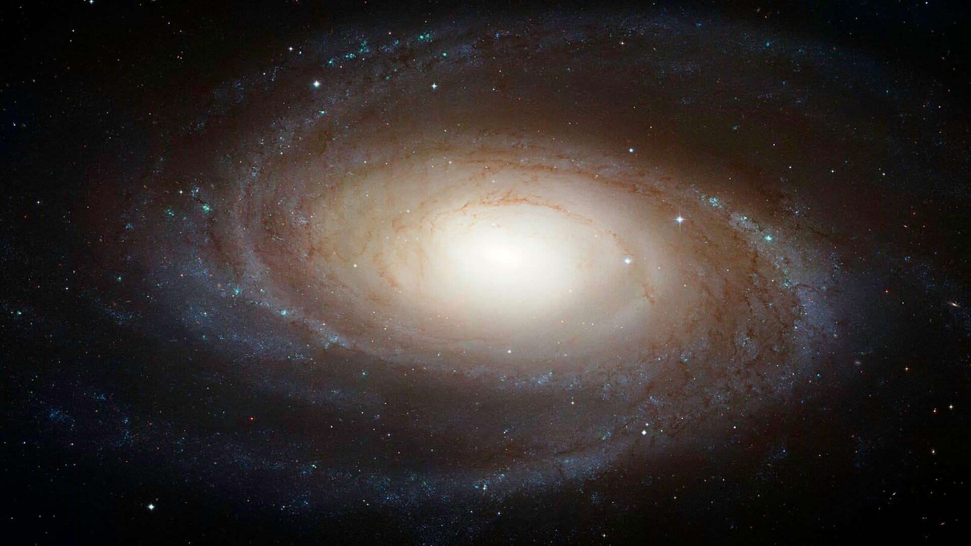 Bode’s Galaxy