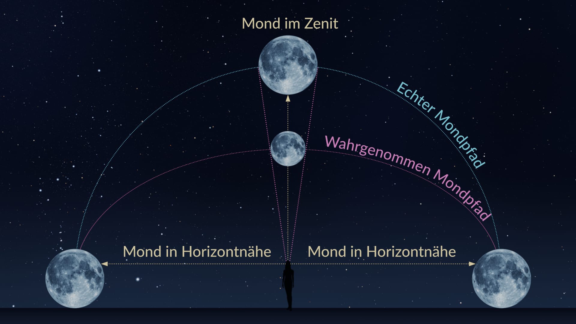 Flattened dome theory