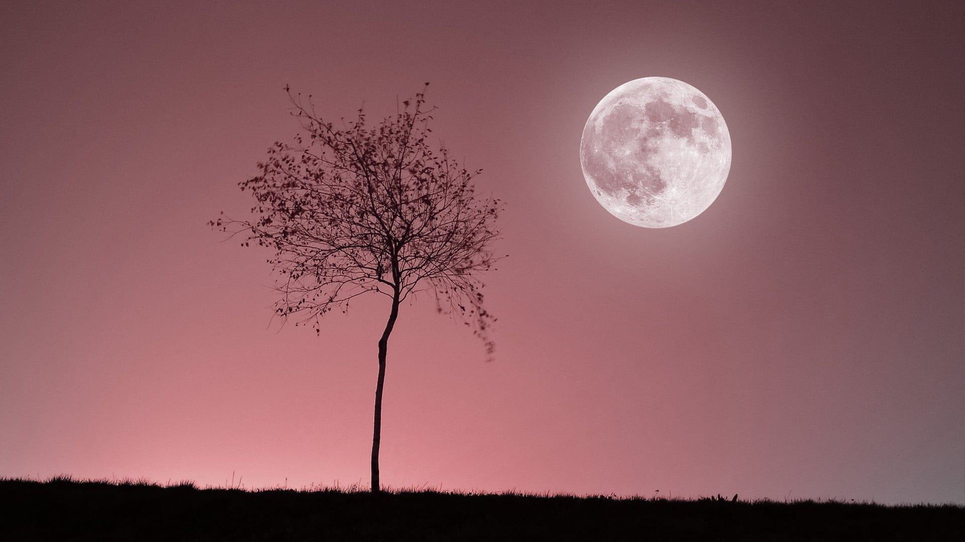 Full Moon April 2022 - 2