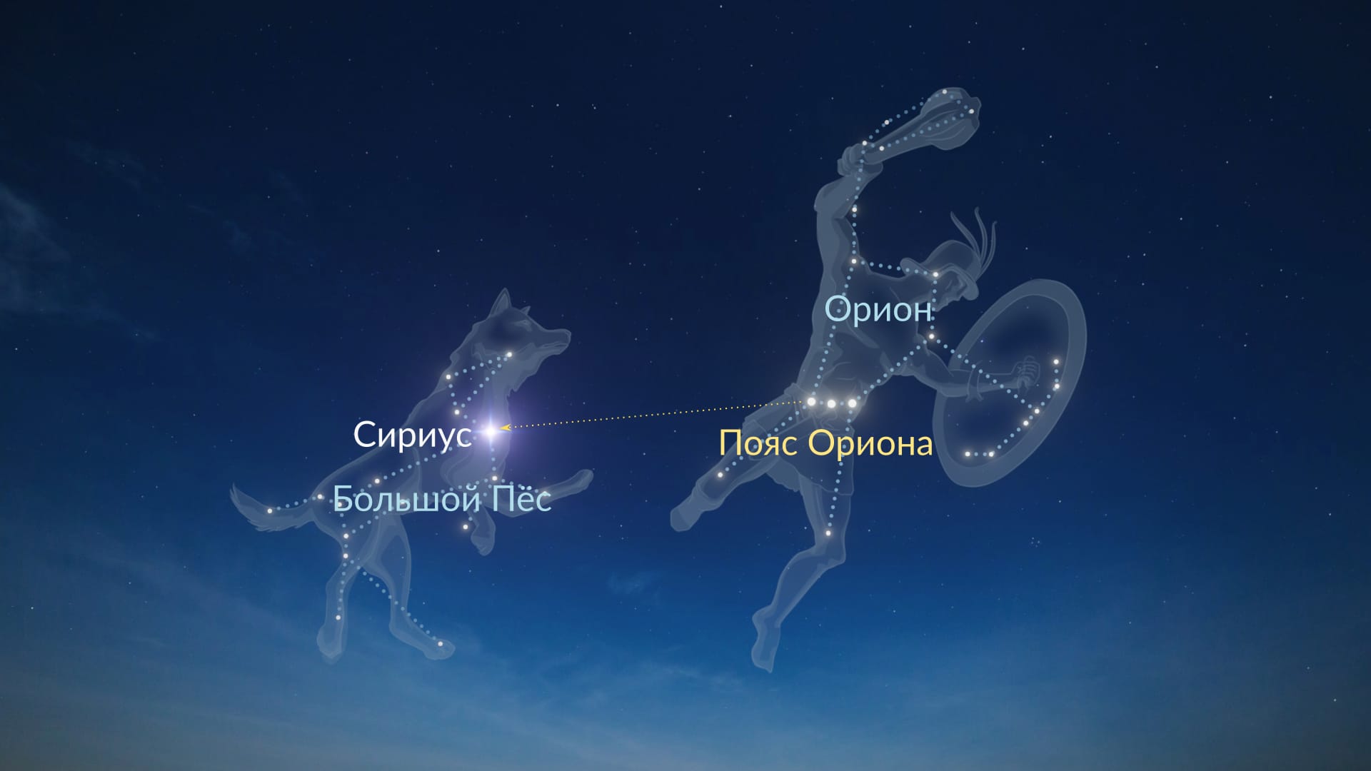 Как найти Сириус