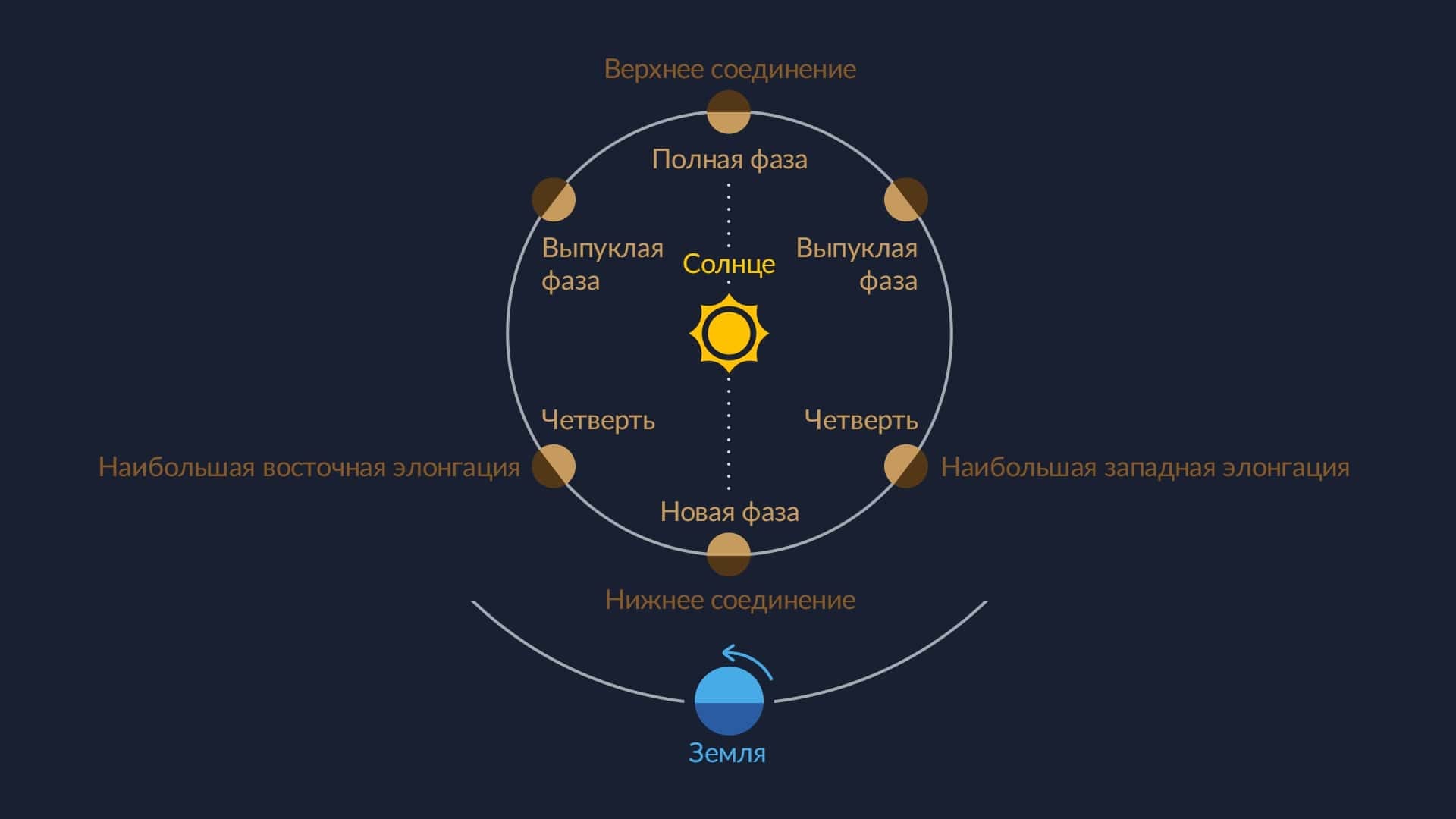 Фазы внутренних планет (Меркурия и Венеры).