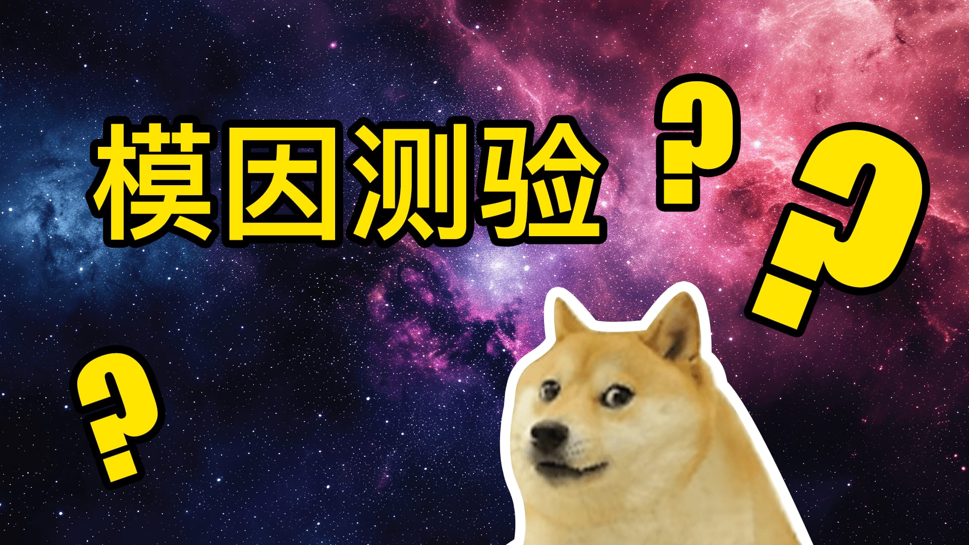 Meme Quiz