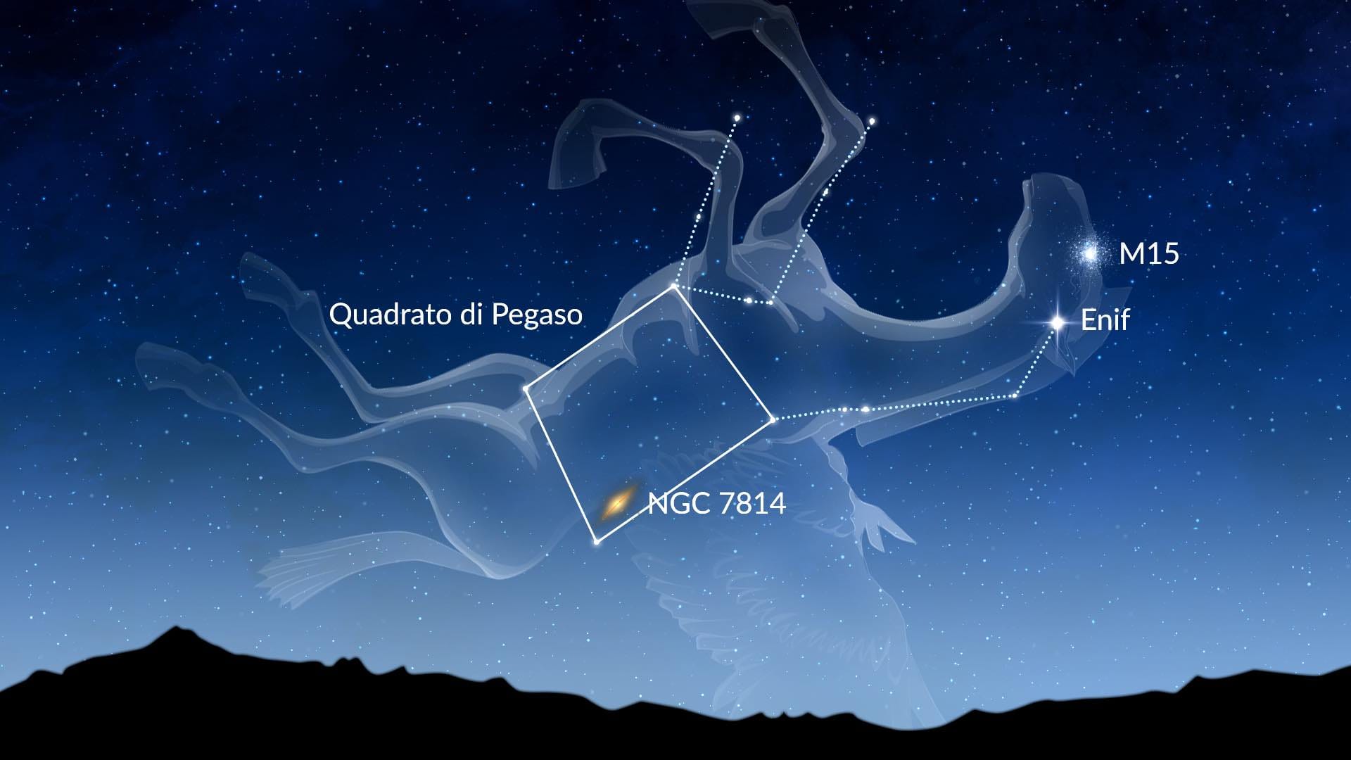 Pegasus