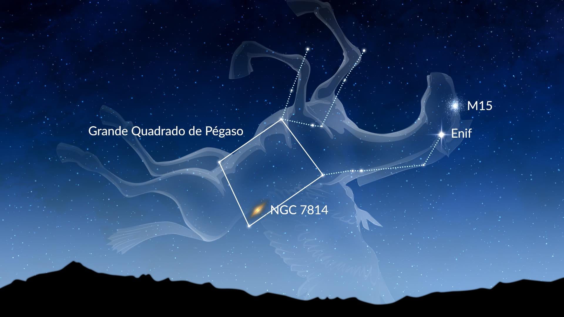 Pegasus