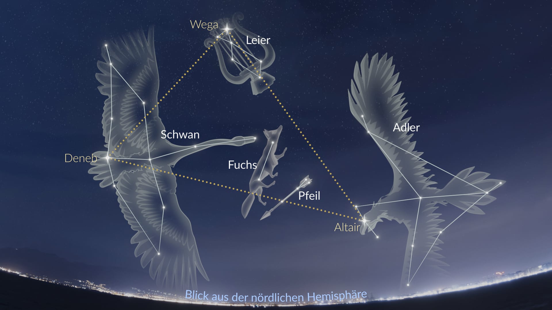 Sagitta, Vulpecula