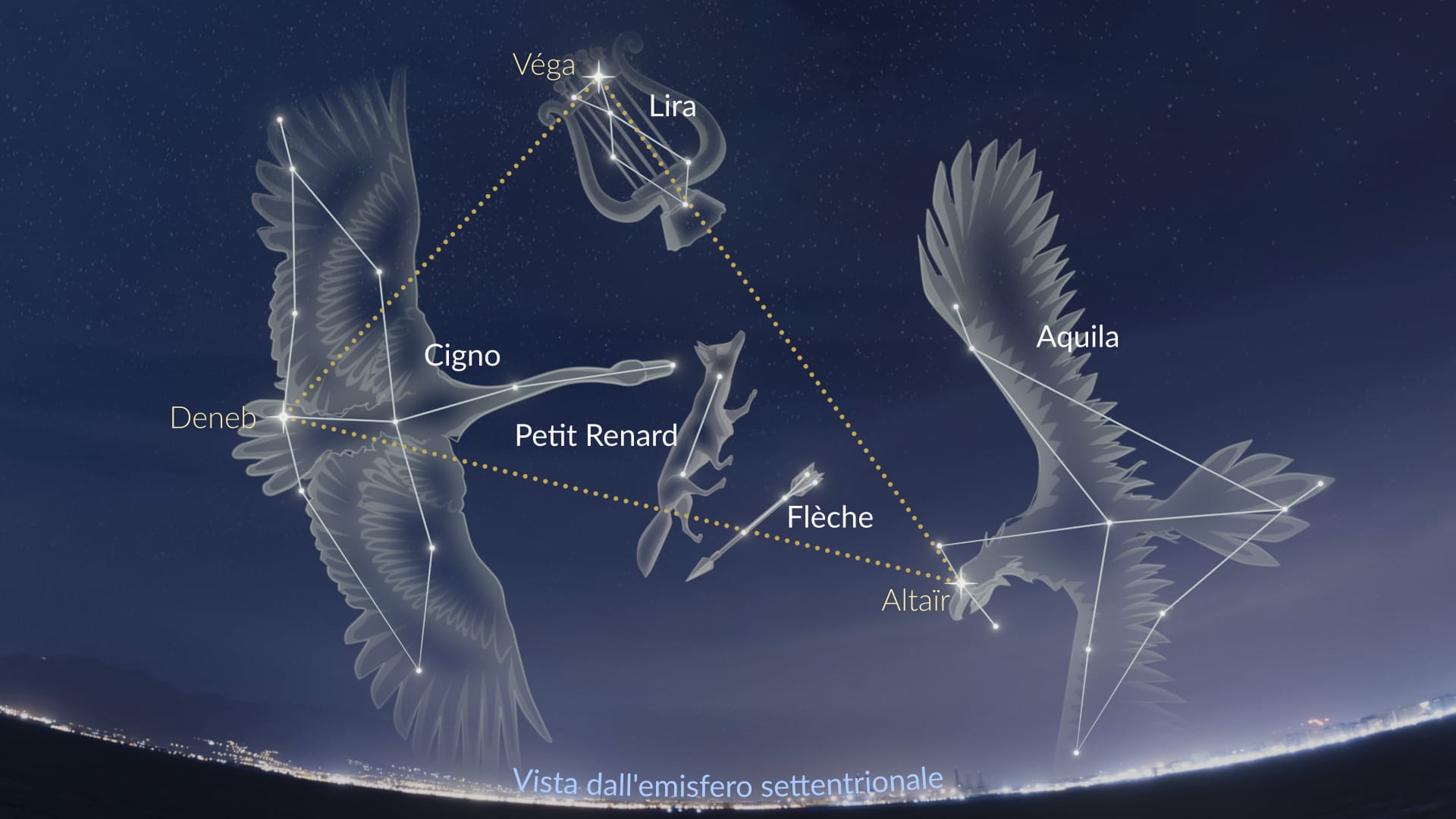 Sagitta, Vulpecula
