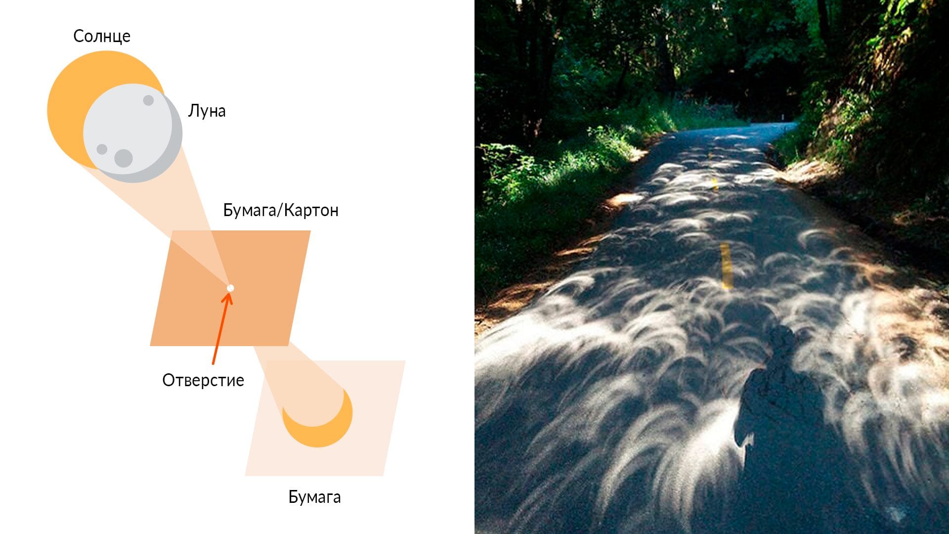 Solar eclipse: indirect viewing methods