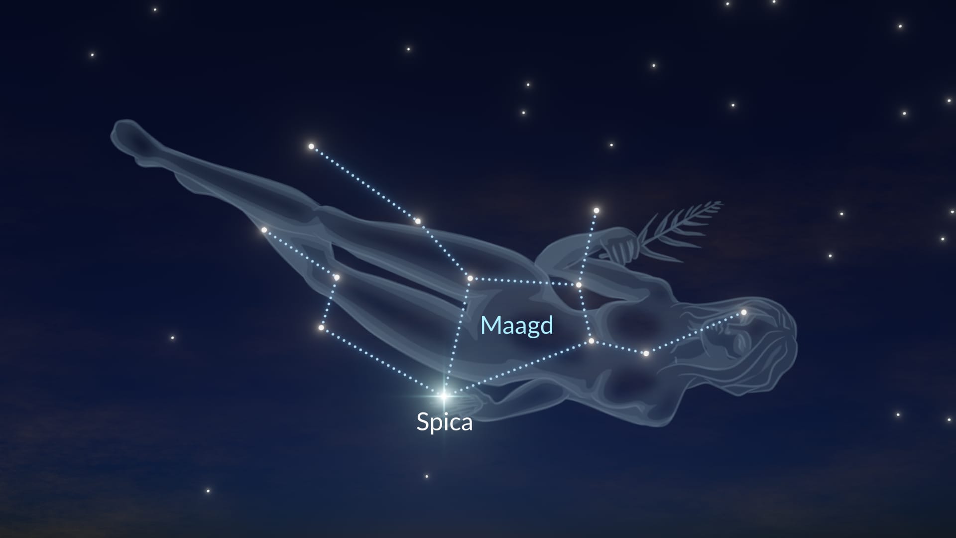 Ster Spica