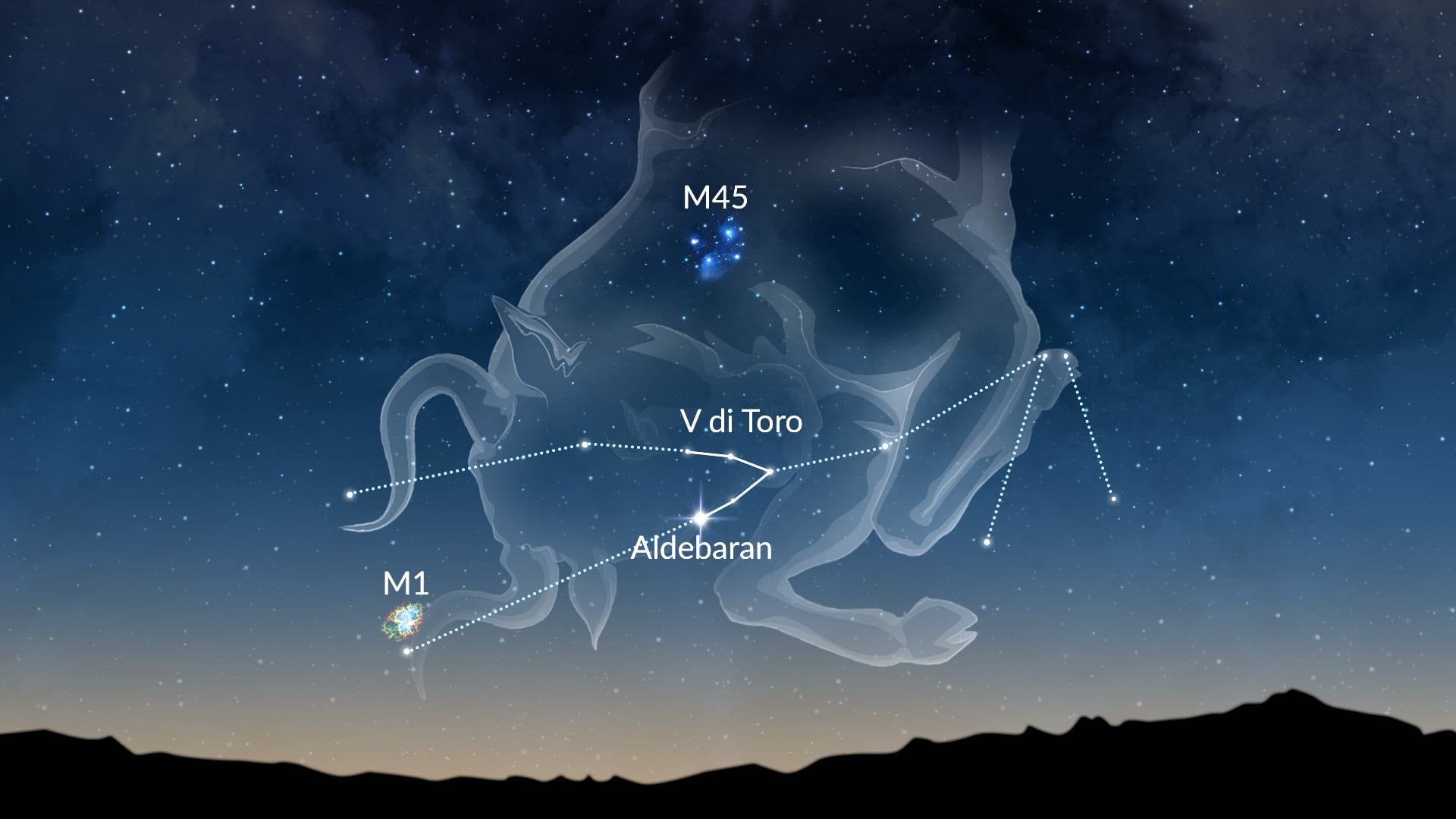 Taurus