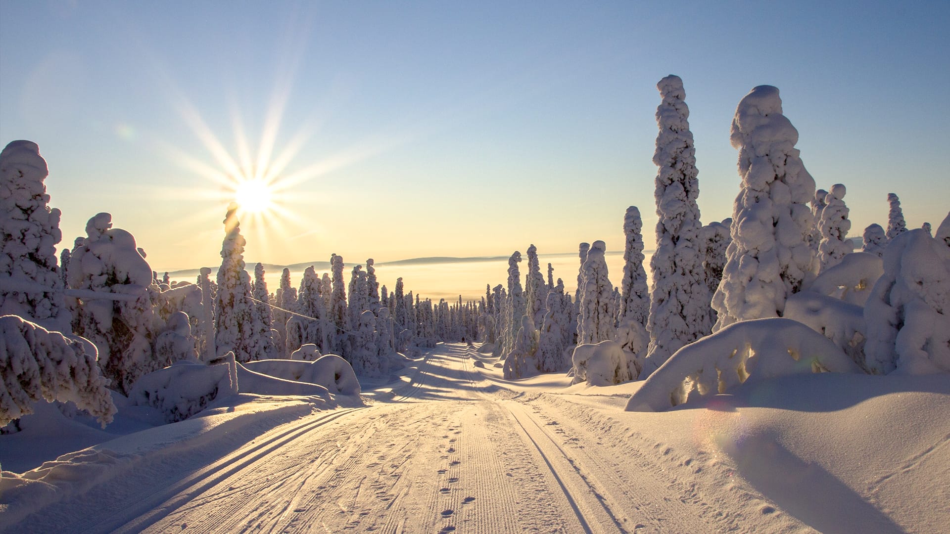 Winter Solstice 2022